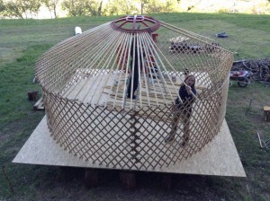 yurta struttura